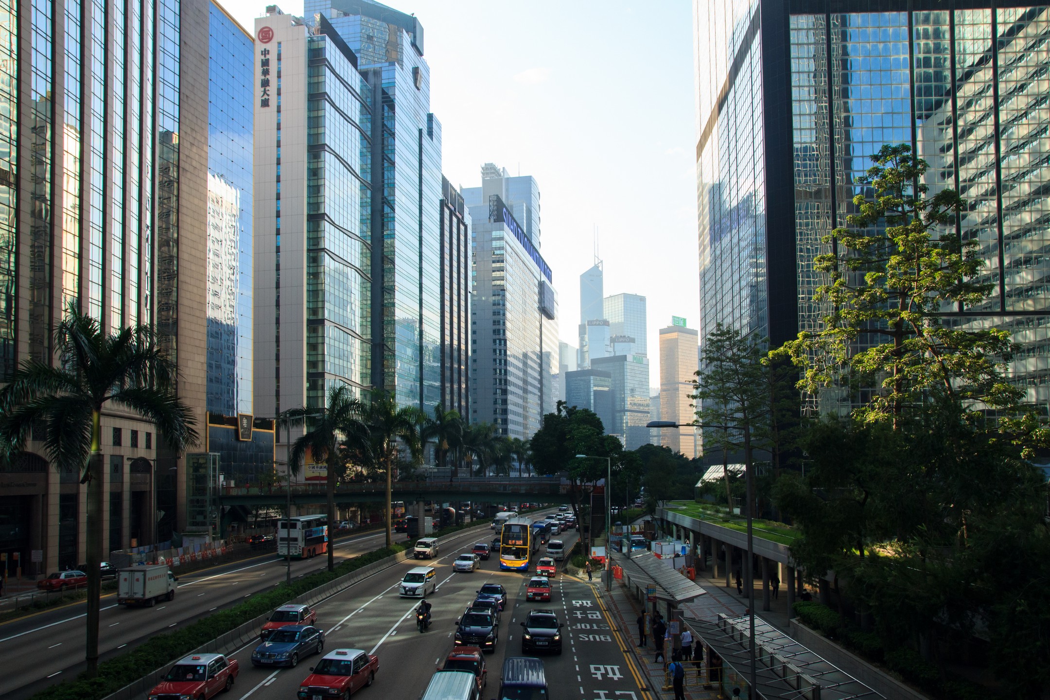 Hong Kong - Asya Olson Travel Photography