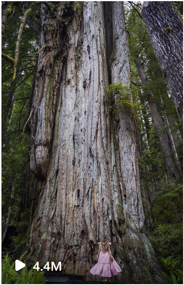 Del Norte County Hikes