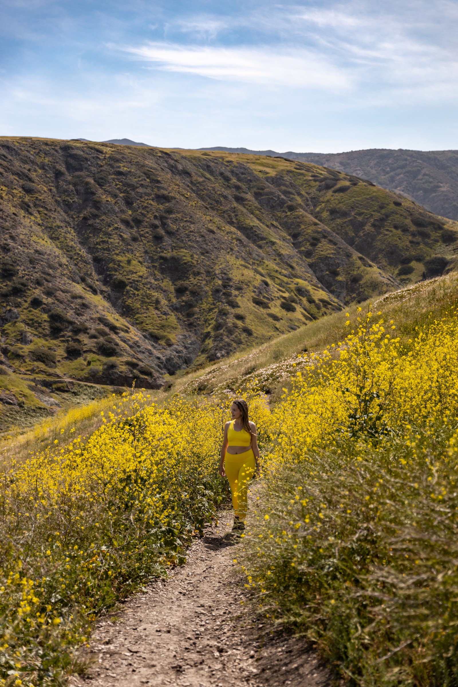 Beautiful California Flower Fields You Must Visit In 2024 - Asya Olson ...