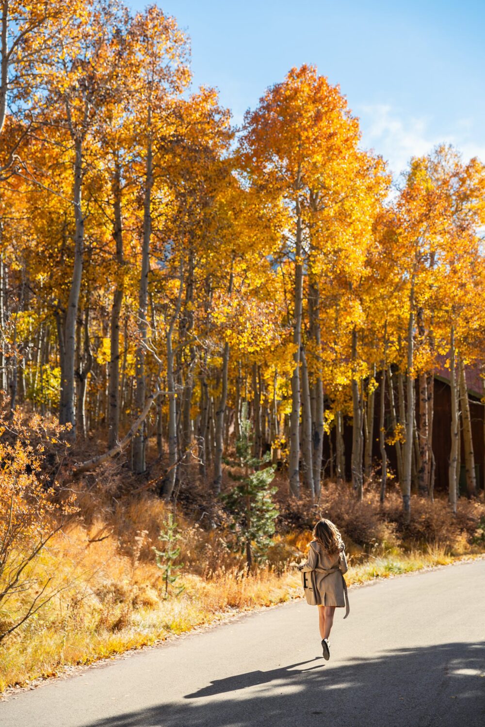 Most beautiful places to see fall colors in California - Asya Olson ...