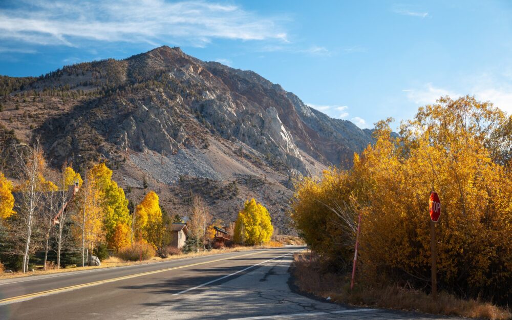 Aspendell, California fall scenery. Photography by Asya Olson