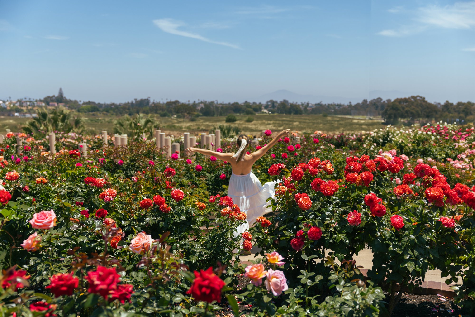 Balboa Park – Rose Garden 2