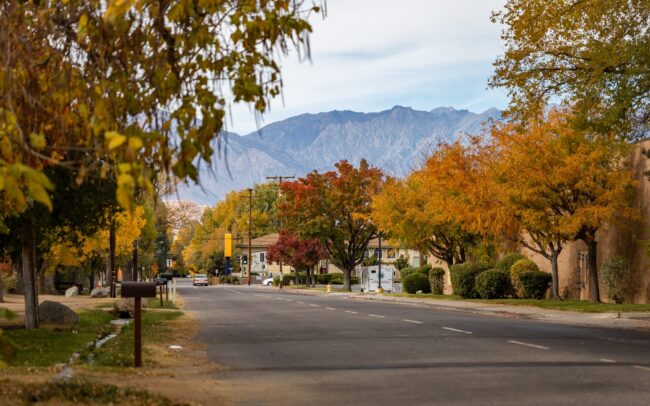 Autumn season in Bishop City, California. Photography by Asya Olson