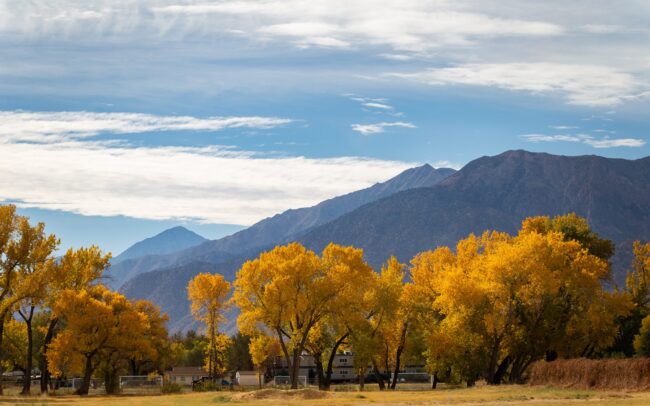 Bishop City, California fall colors and mountain views. Photography by Asya Olson