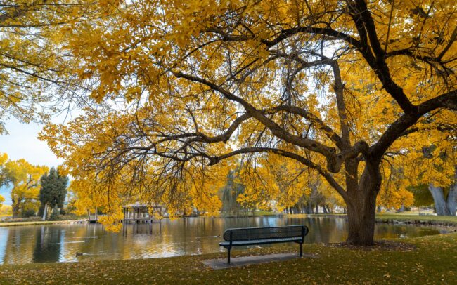 Bishop City park scenery during the autumn season. Photography by Asya Olson