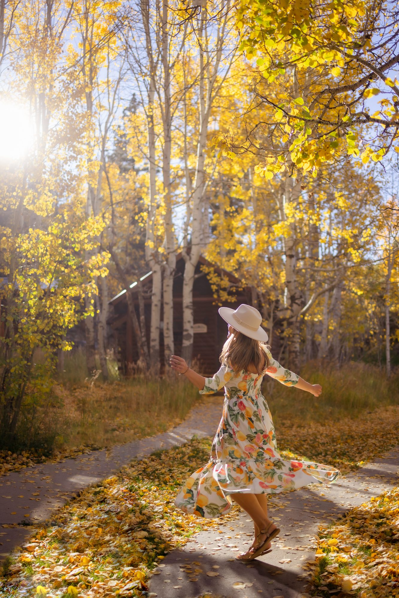 Wylder-Hotel-Hope-Valley-1