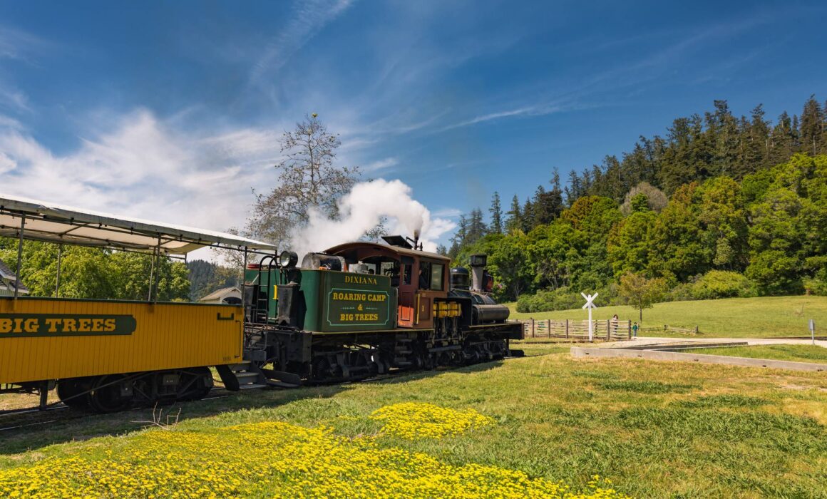 Roaring Camp Railroad in Santa Cruz, California. Photography by Asya Olson.