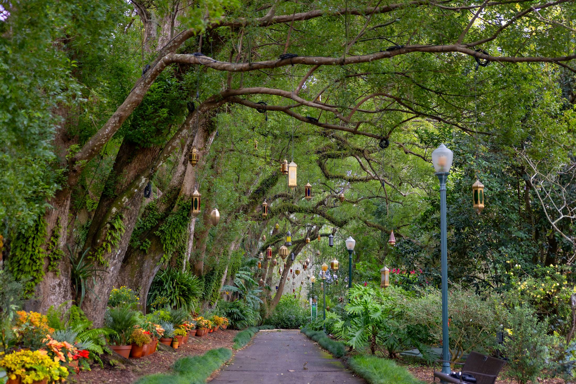 Harry P. Leu Gardens