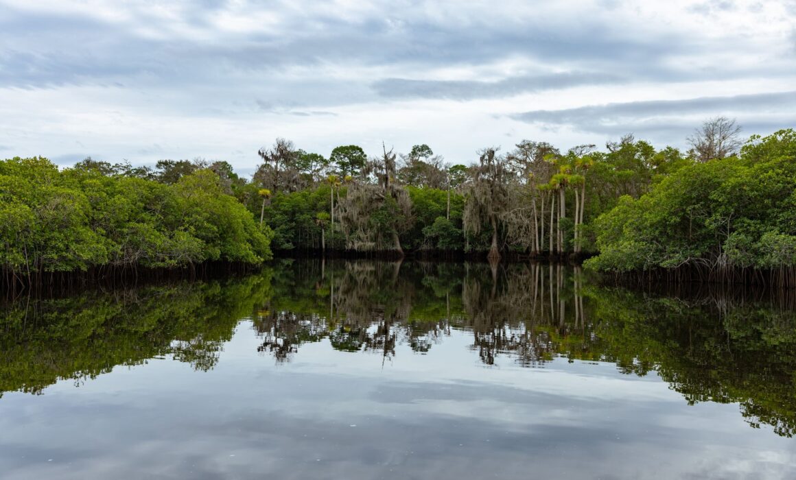 Things to do in Martin County, Florida include the Loxahatchee Queen Pontoon Boat Tour. Photography by Asya Travels.