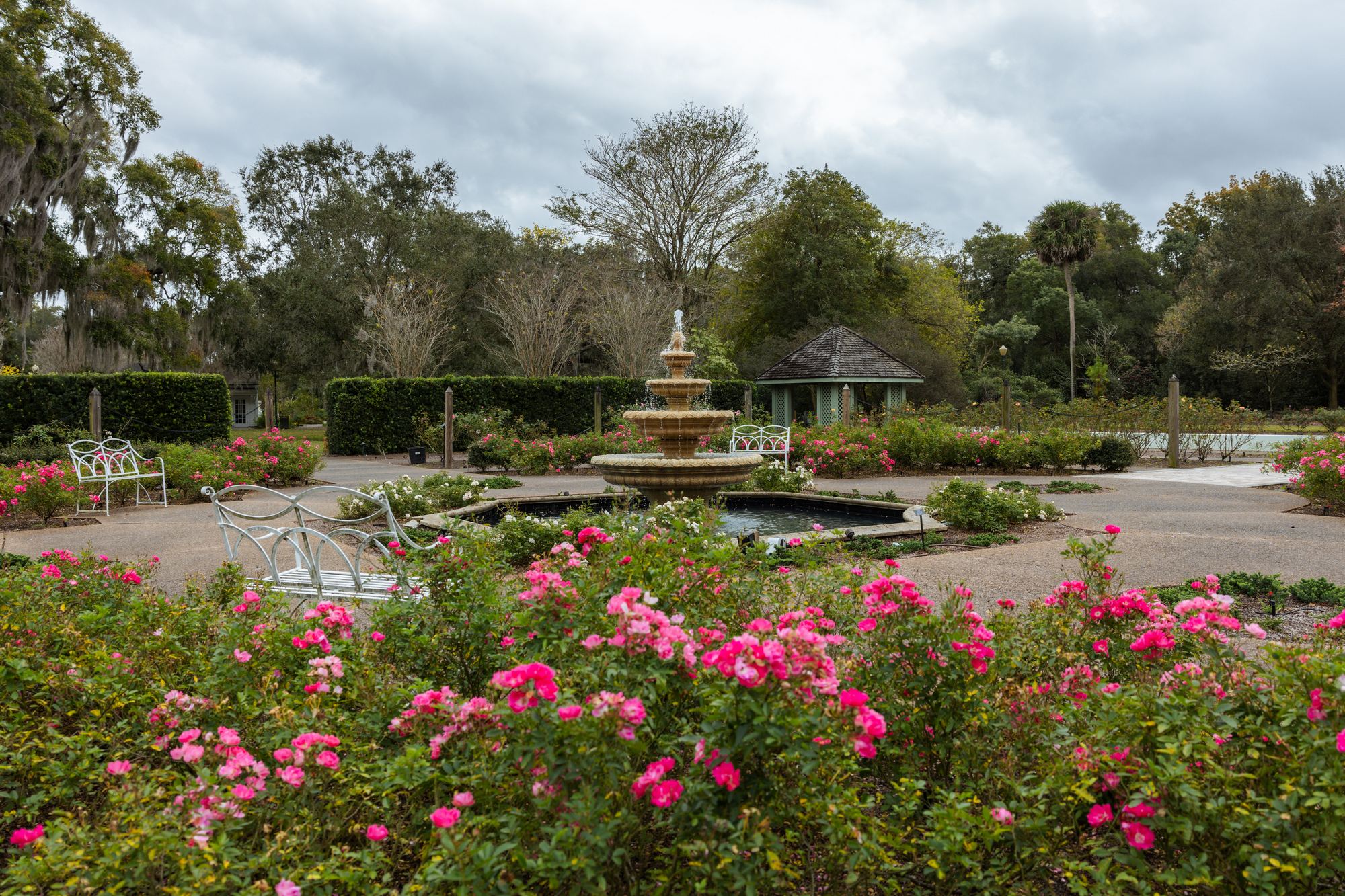 Harry P. Leu Gardens 6
