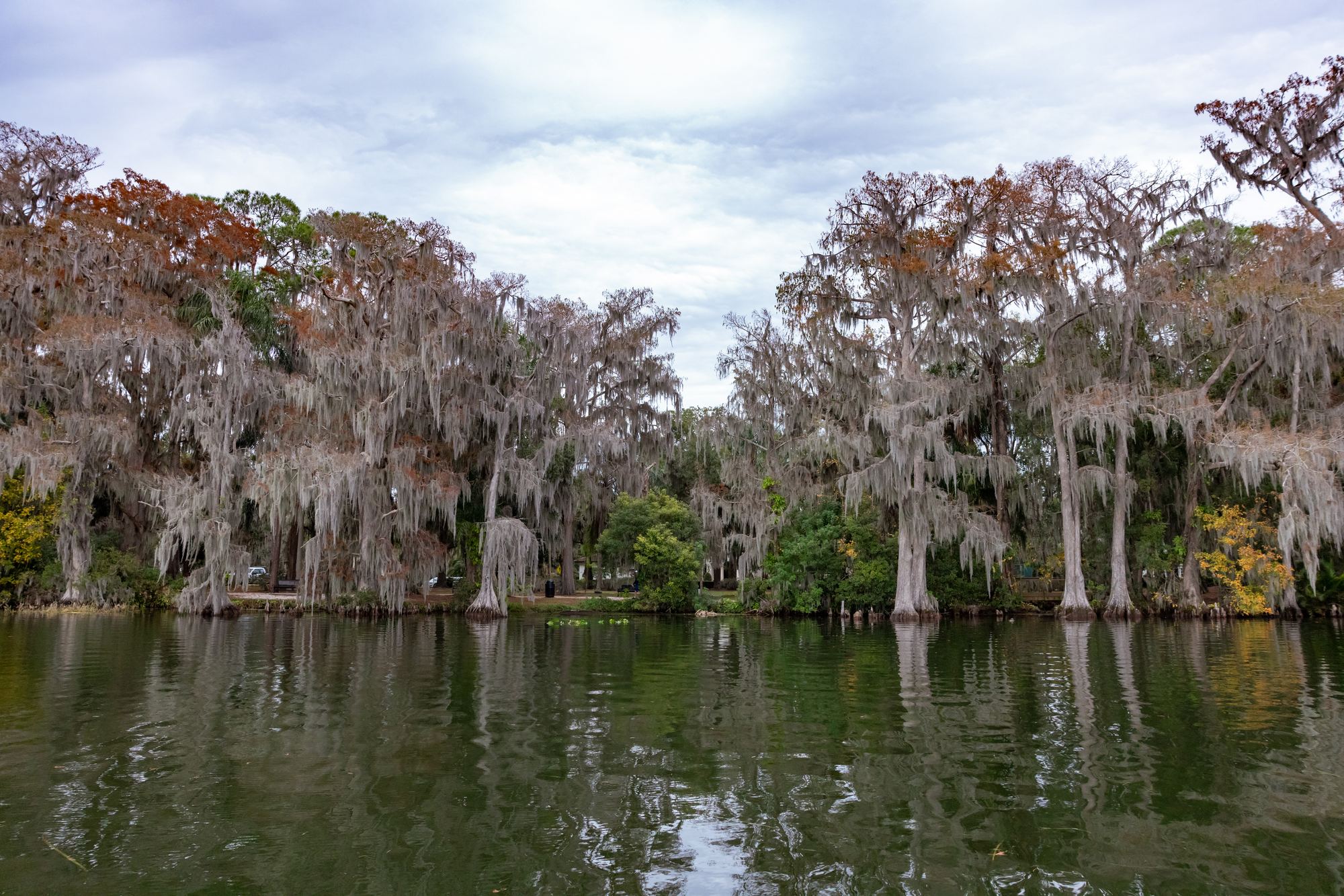 Winter Park Scenic Boat Tour 3