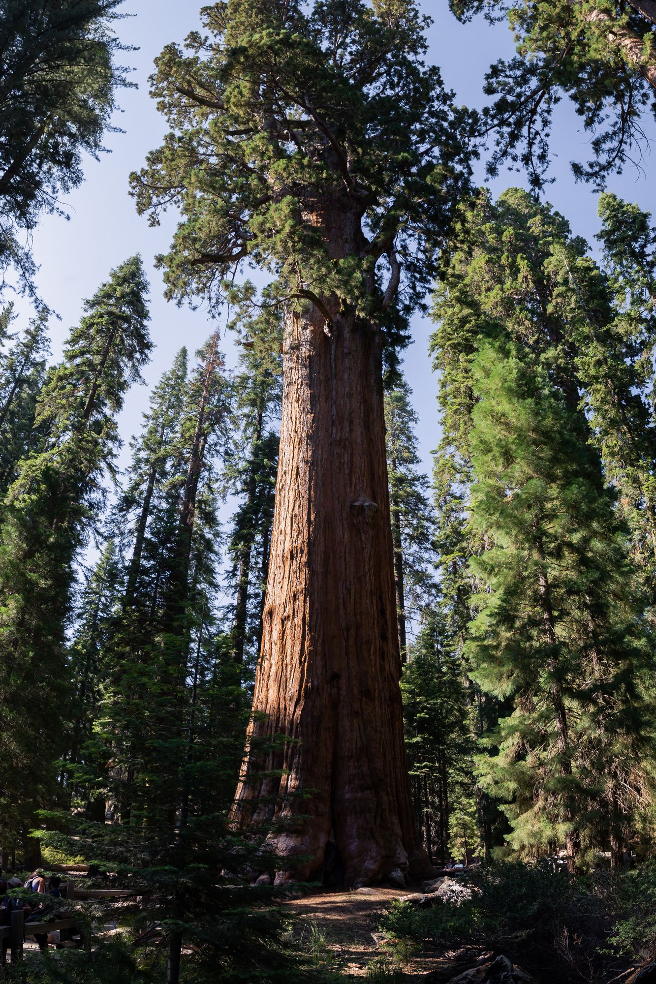 General Sherman 2