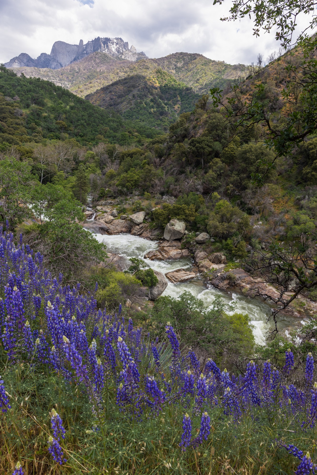 The Best Hiking Trails in Sequoia National Park - Asya Olson Travel ...