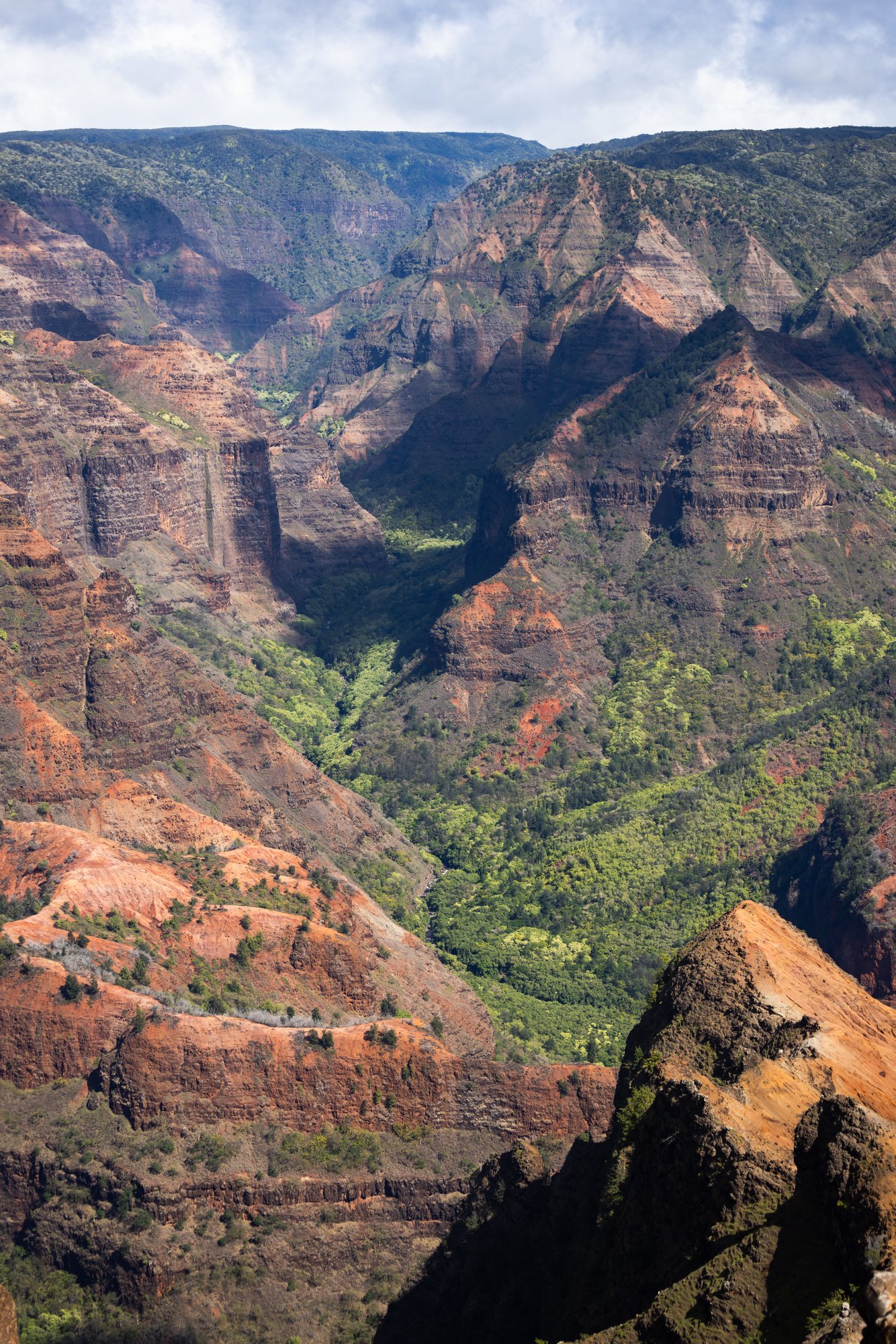 Waimea Canyon State Park 2