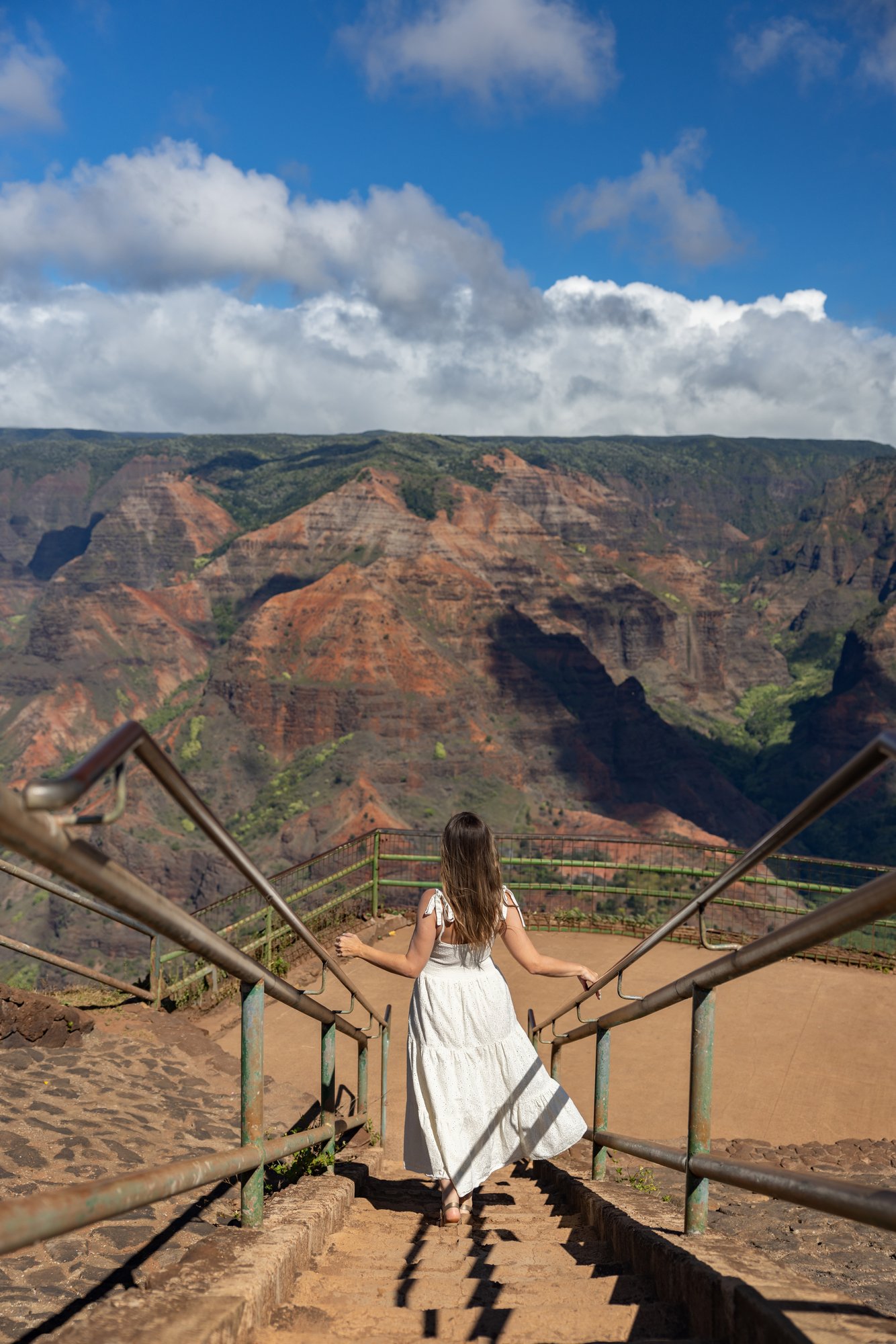 Waimea Canyon State Park 3
