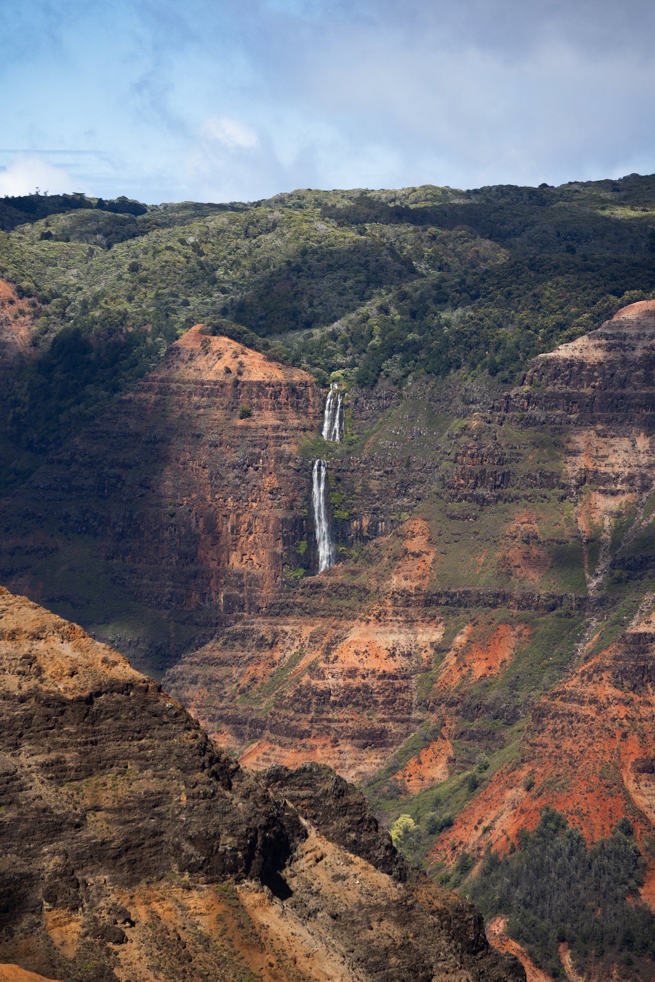Waimea Canyon State Park