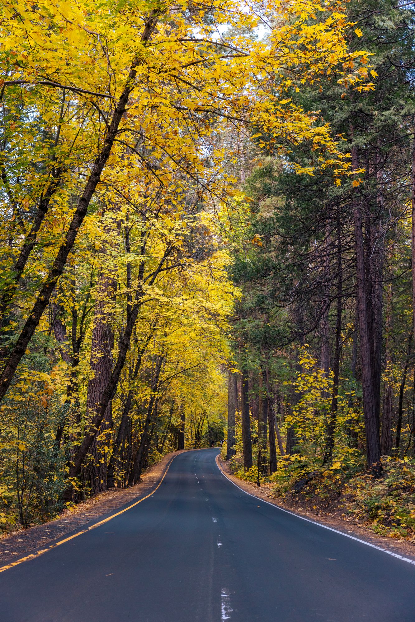 Yosemite Valley (fall)