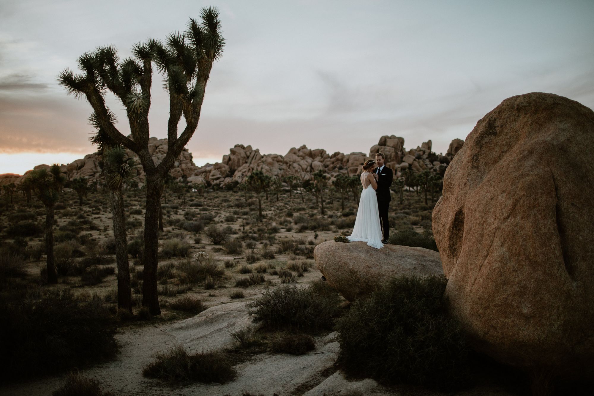 View More: http://letmeshowyoulove.pass.us/asya–ben-elopement