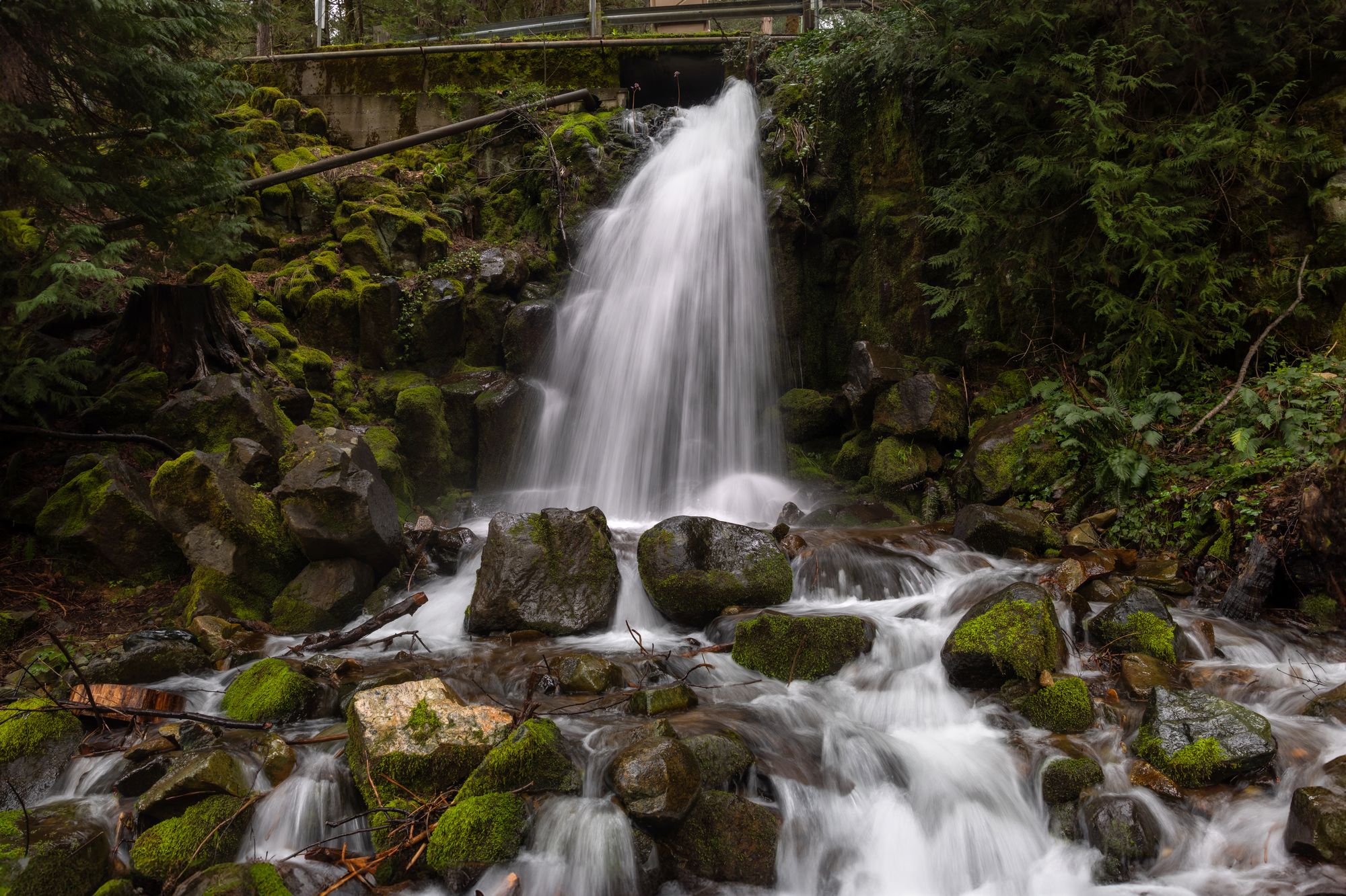 The Ultimate One-Day Trip to 8 Waterfalls in Redding, California - Asya ...