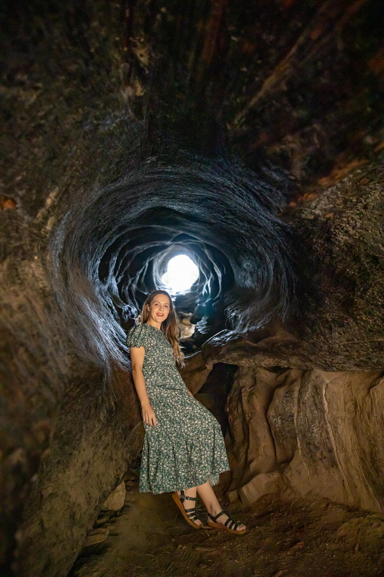 Fallen tree along the General Grant Tree trail