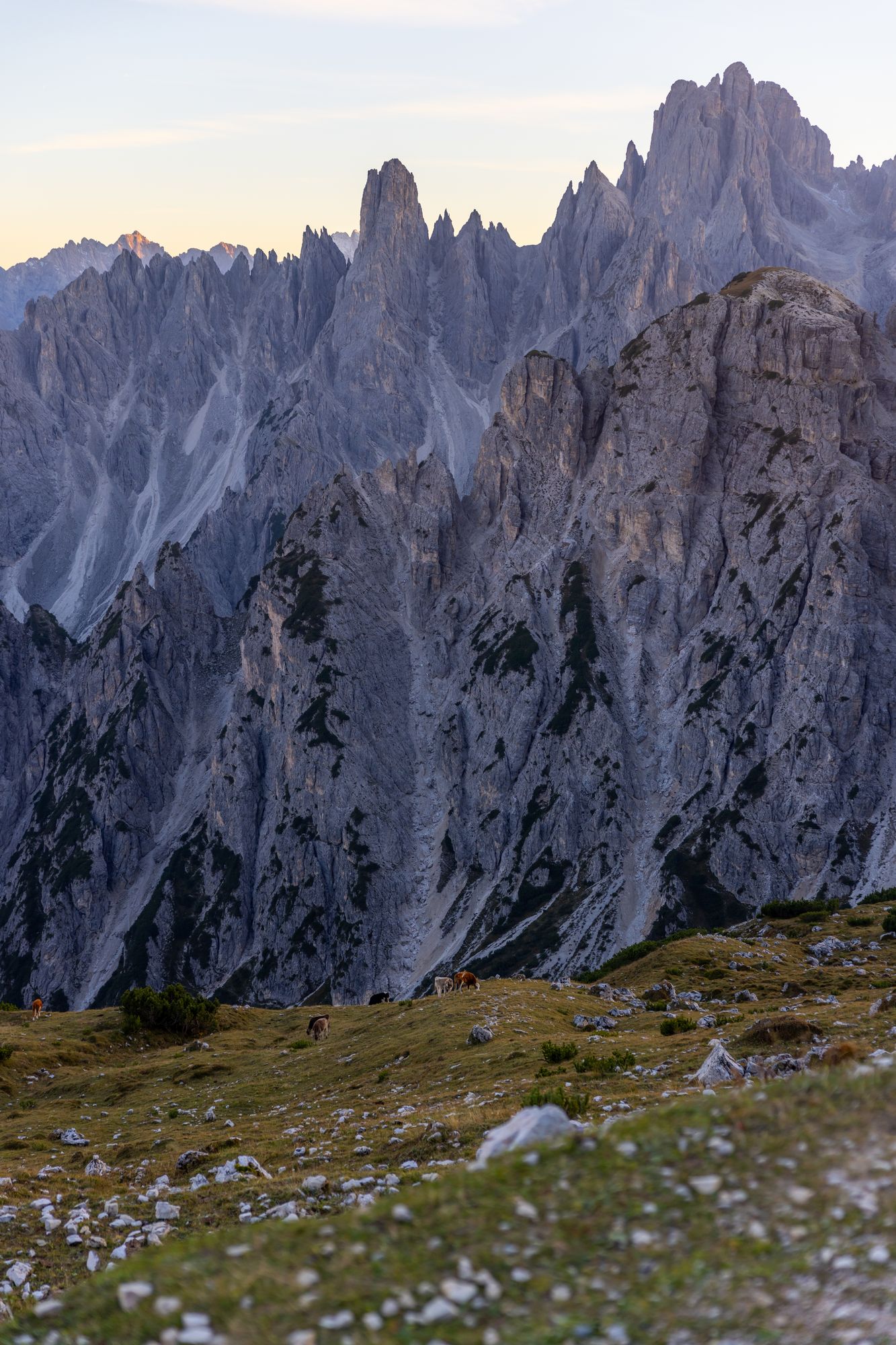 Tre Cime 7