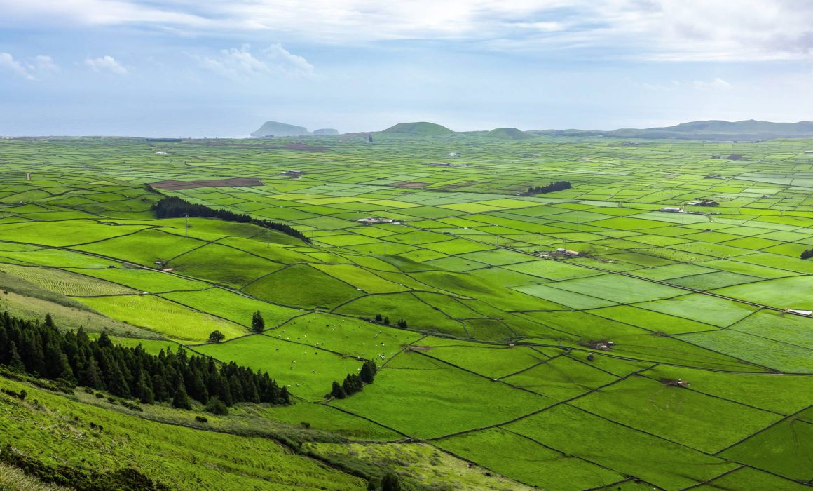 The green fields over the Miradouro da Serra do Cume viewpoint in Terceira Island.