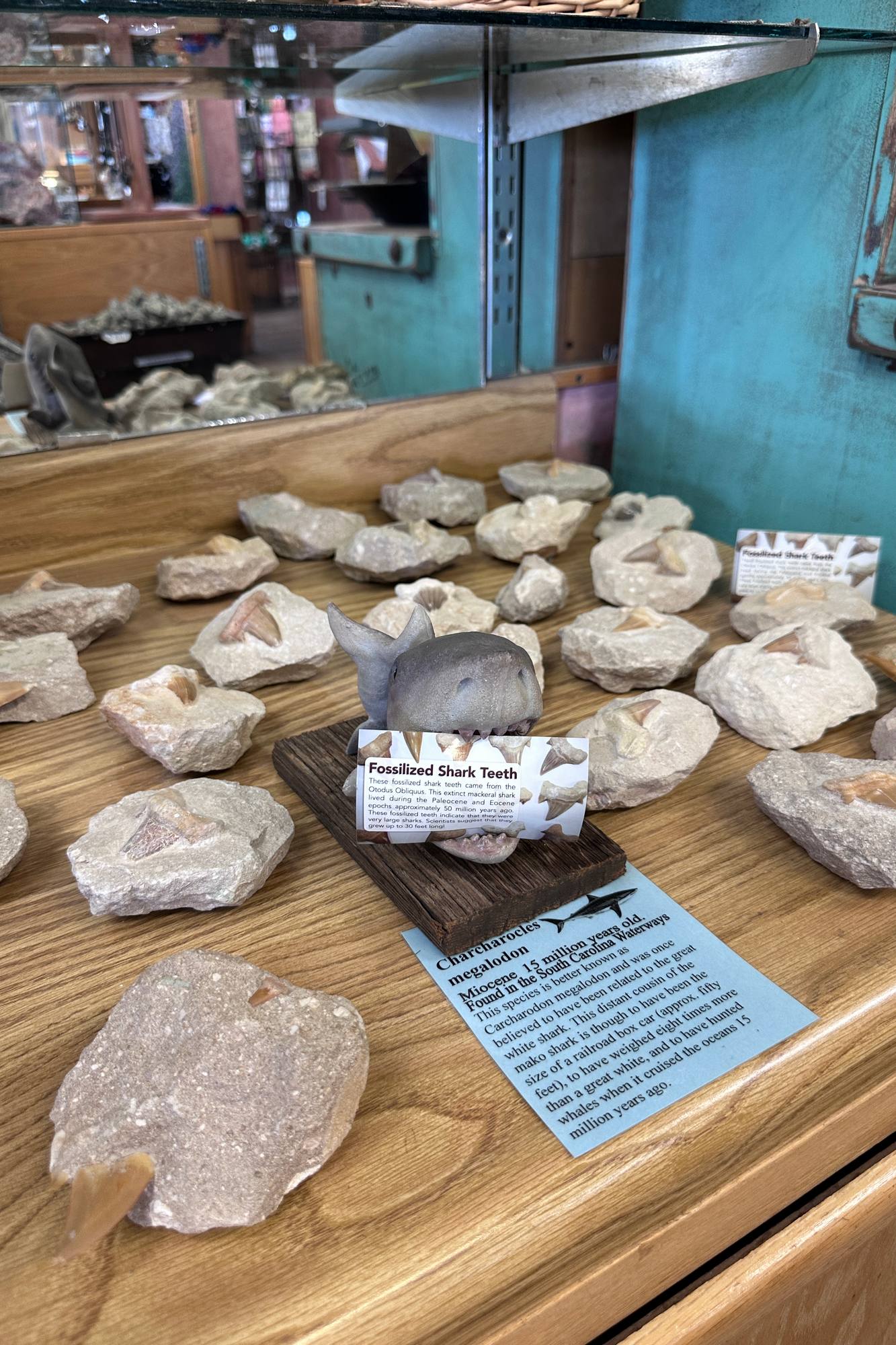 Calico Stone display