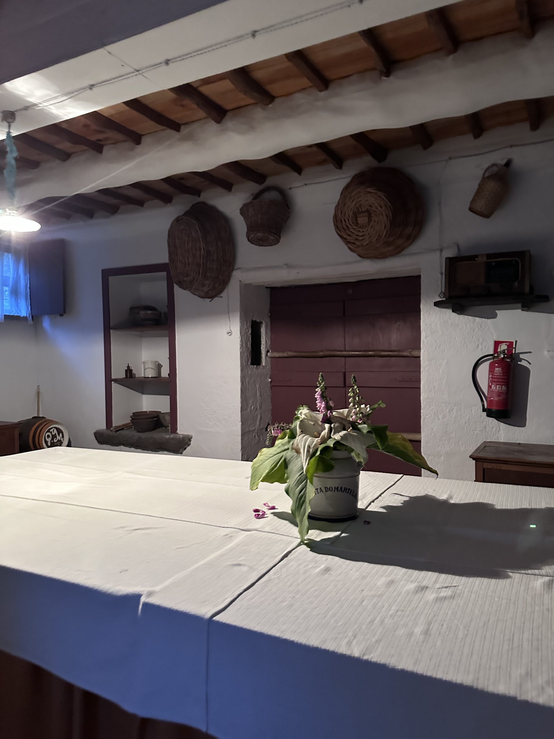 Quinta do Martelo Interior 2