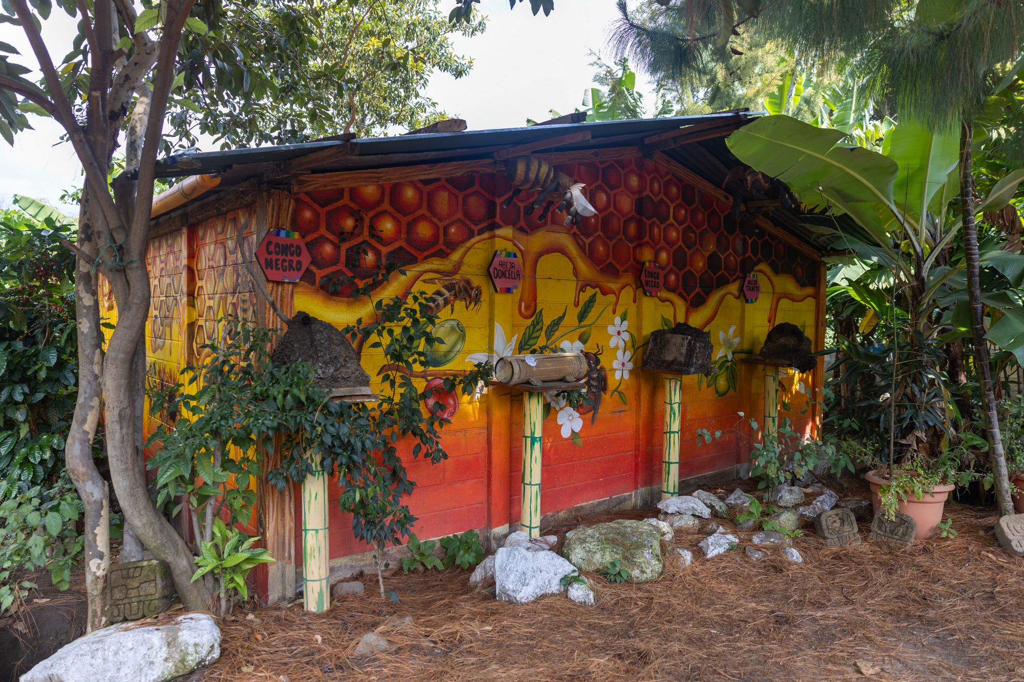 San Juan La Laguna 3