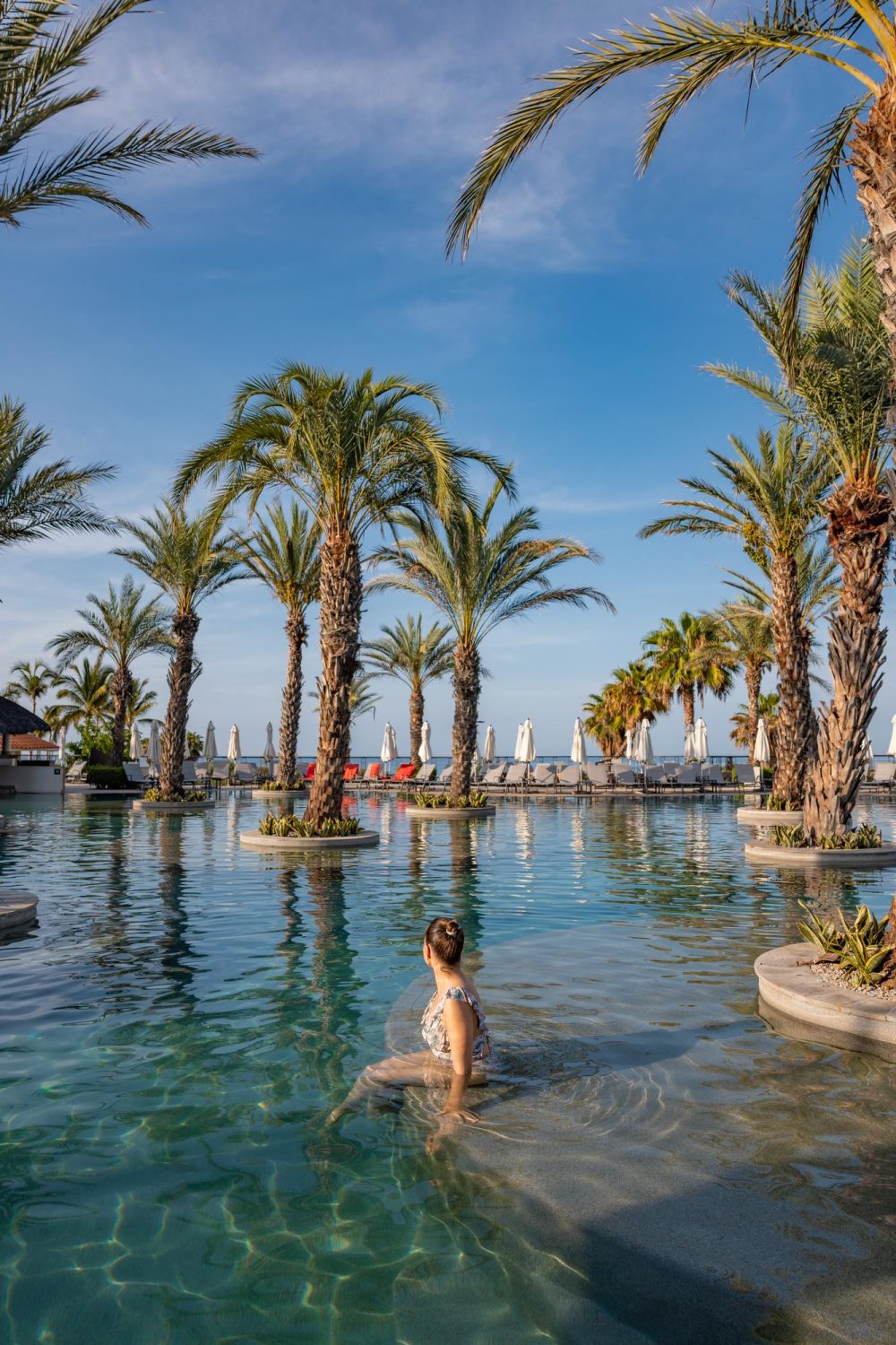 Big pool with palm trees at Secrets Puerto Los Cabos