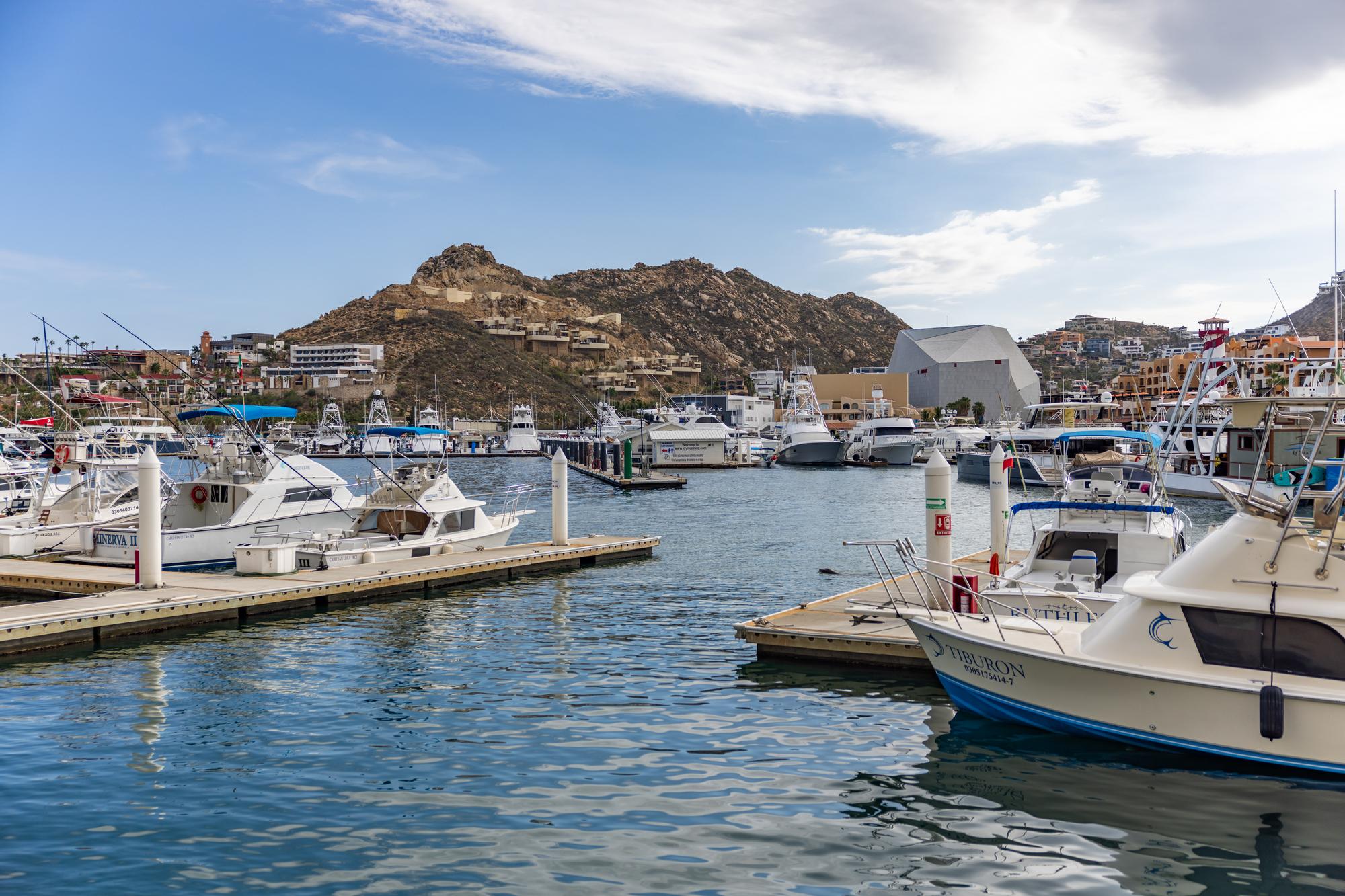The Arch of Cabo San Lucas boat tour