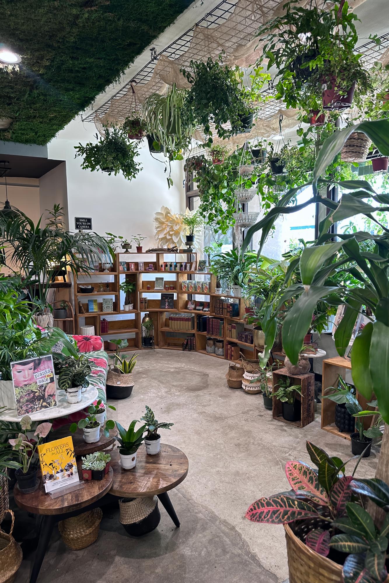 IMG_2310- Lost Books