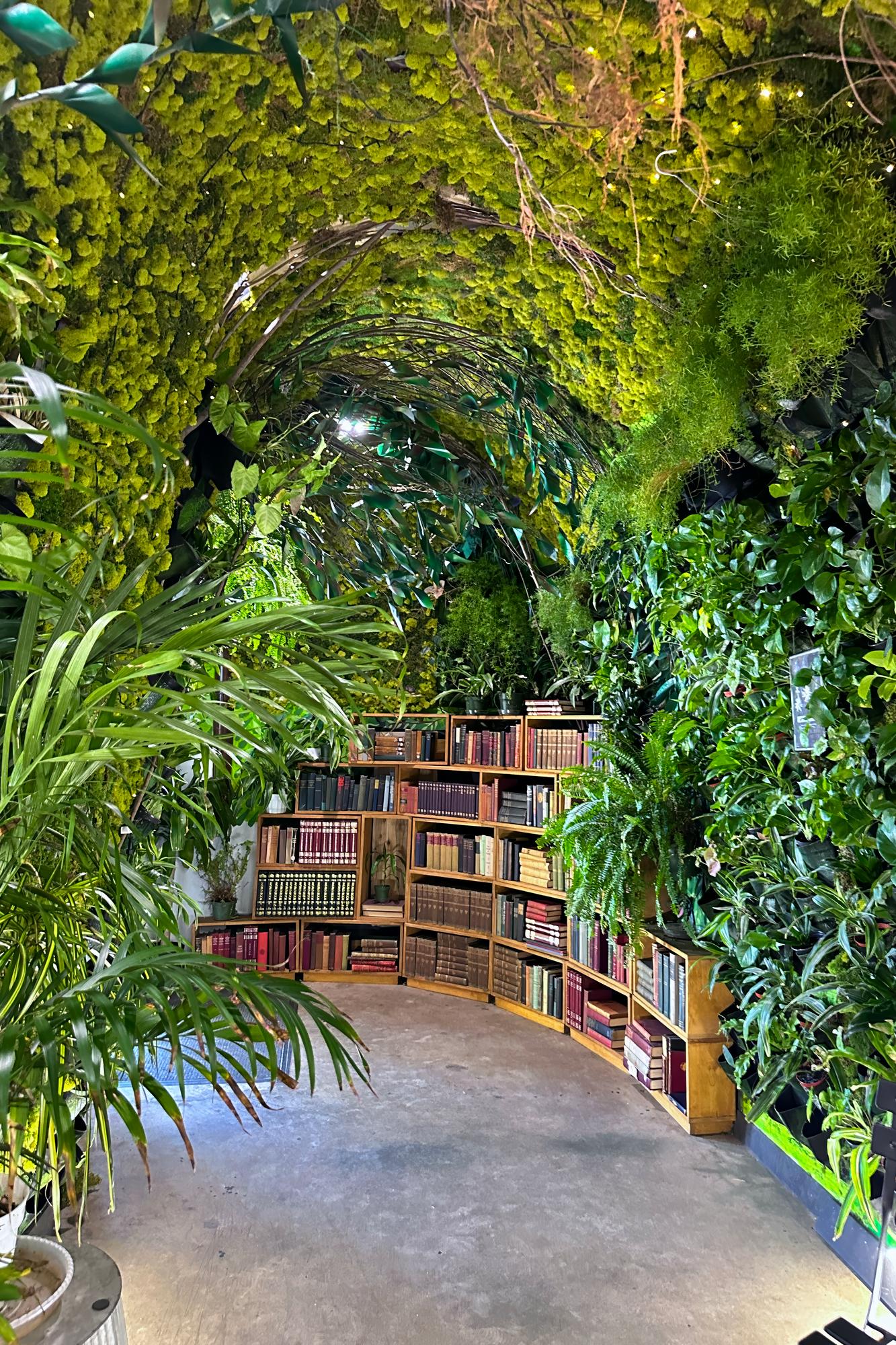 IMG_2367- Lost Books