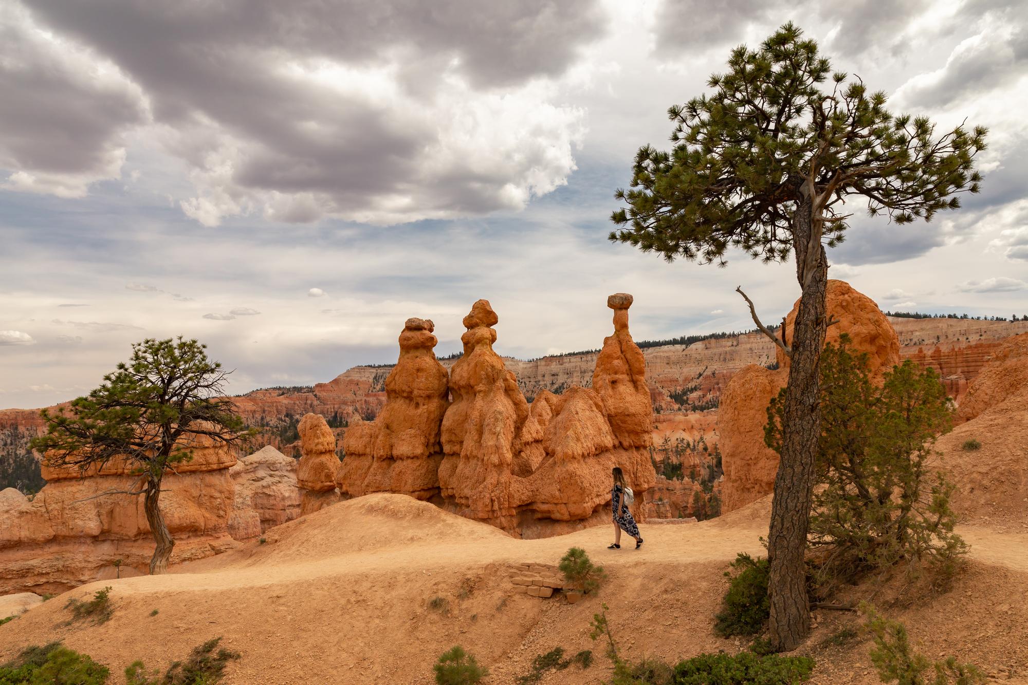 Queen’s Garden Trail 01