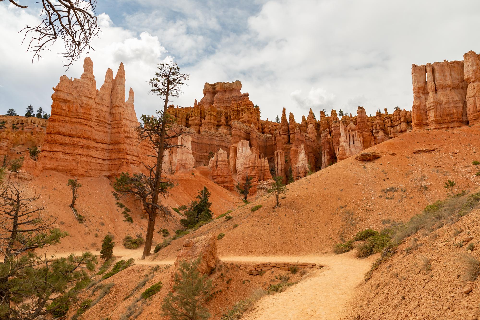 Queen’s Garden Trail 03