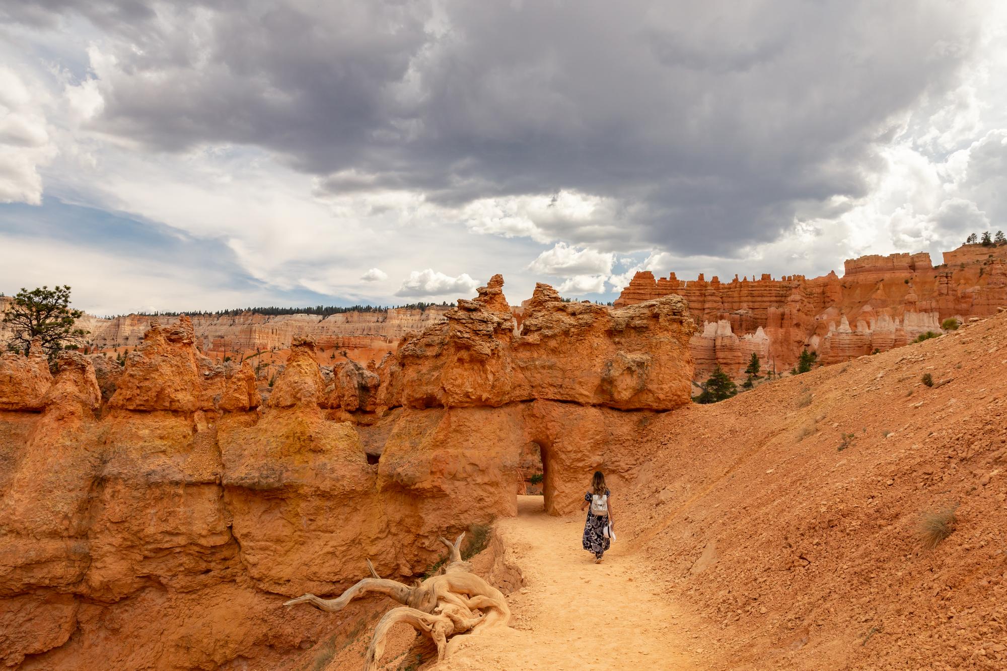 Queen’s Garden Trail 04