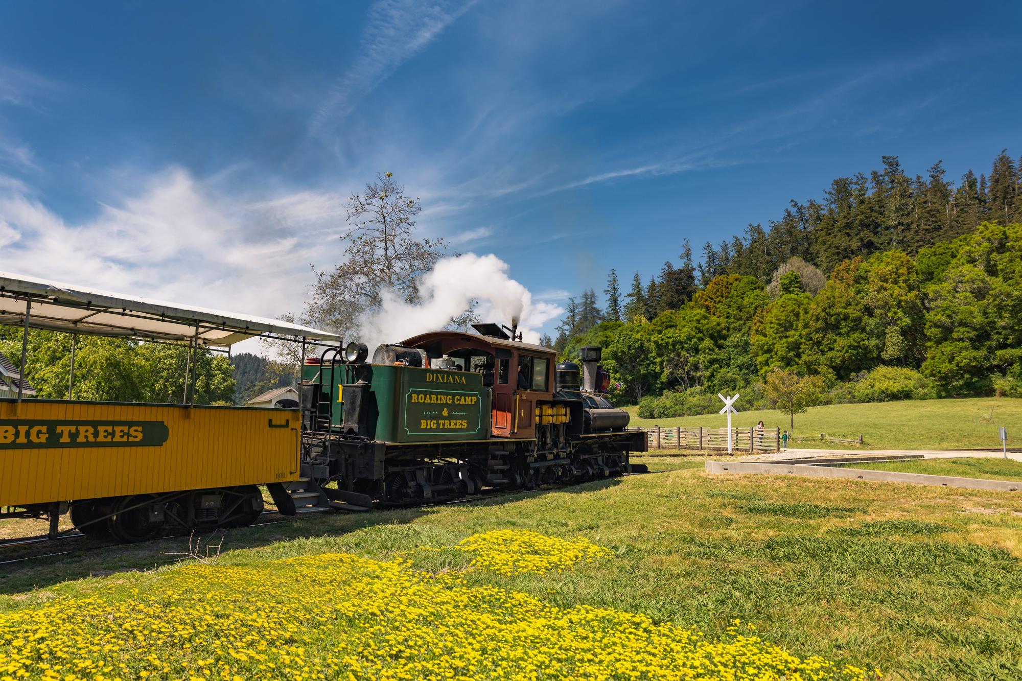 Roaring Camp Railroad The Roaring Camp Railroad on the train tracks in the day.