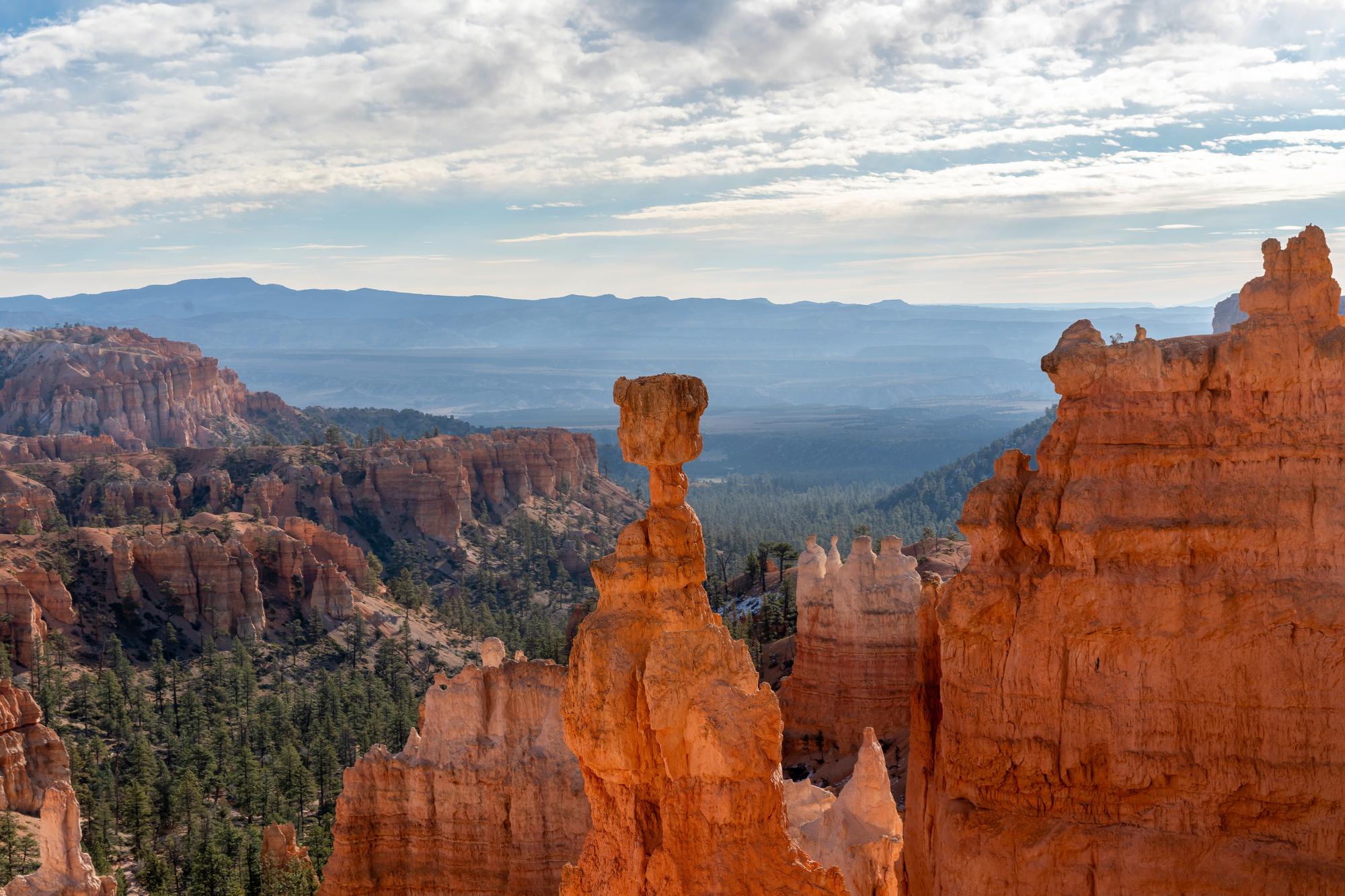 A beautiful view of Thor’s Hammer hoodoo in golden hour light in Bryce Canyon.
