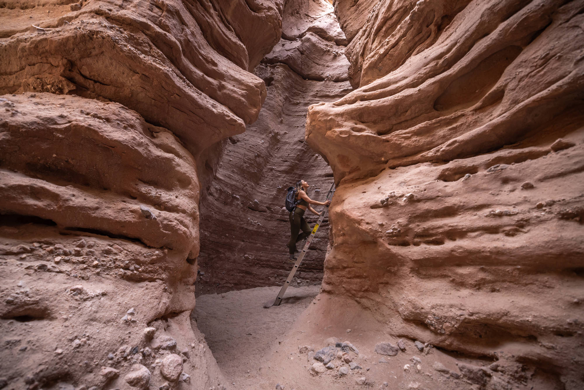 Ladder in the Ladder Canyon